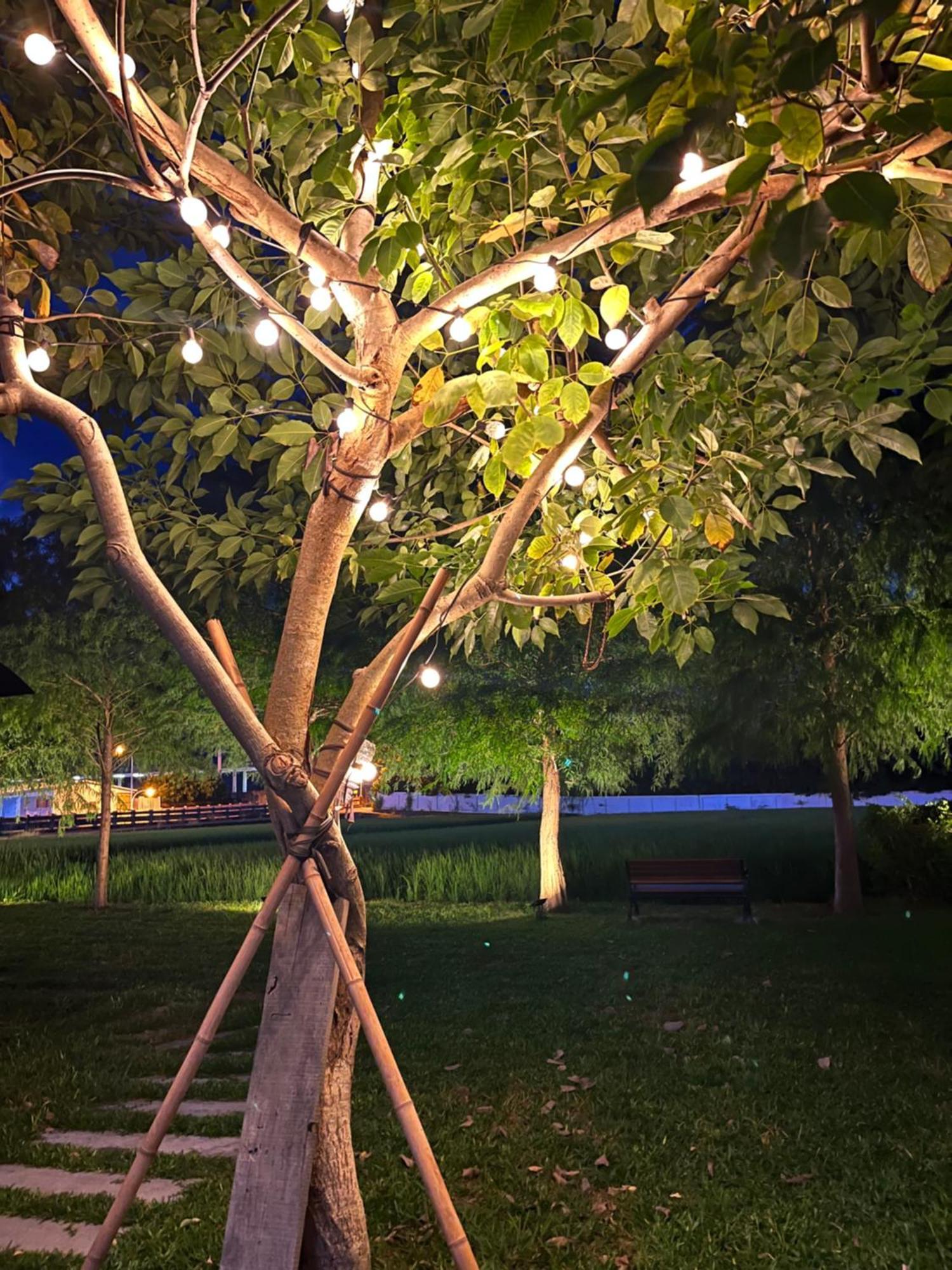 Blue Sky Hill Homestay Guanshan Exterior foto